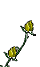 flor