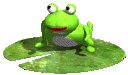 cazando.gif